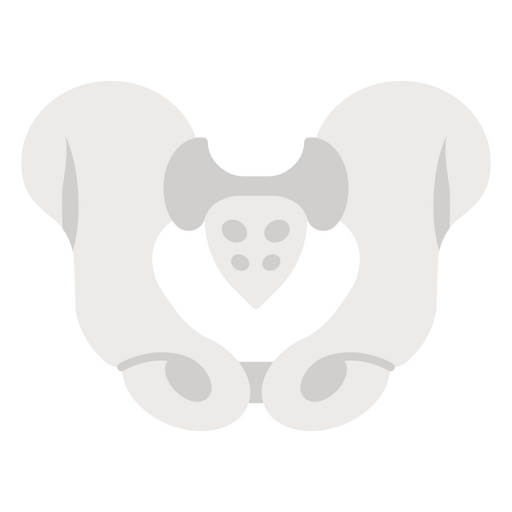 Flat icon of a pelvis PNG Design