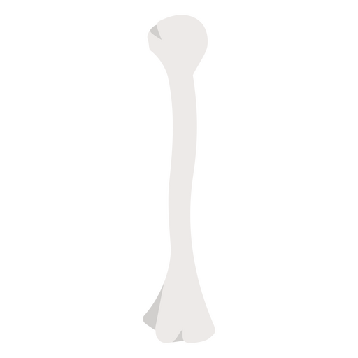 Stylized dog bone illustration for pet lovers PNG Design