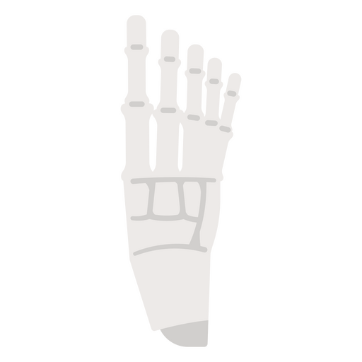 Ilustración de un esqueleto de un pie. Diseño PNG