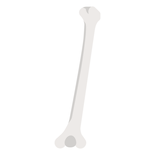 Design de ilustração minimalista de osso Desenho PNG