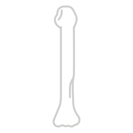 Design minimalista em formato de osso Desenho PNG