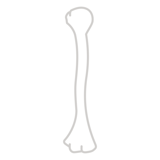 Minimalistische Knochenumrissillustration PNG-Design
