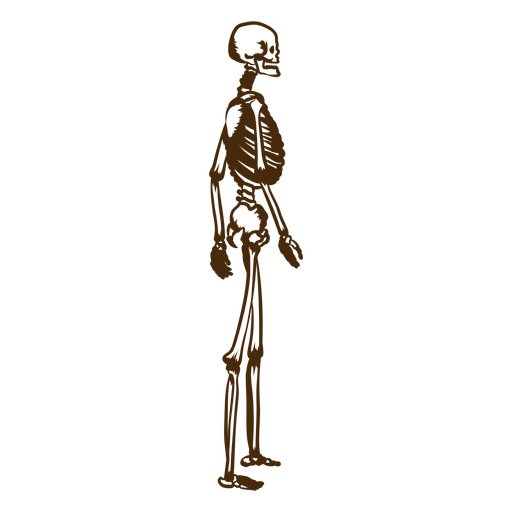 Brown skeleton standing sideways PNG Design