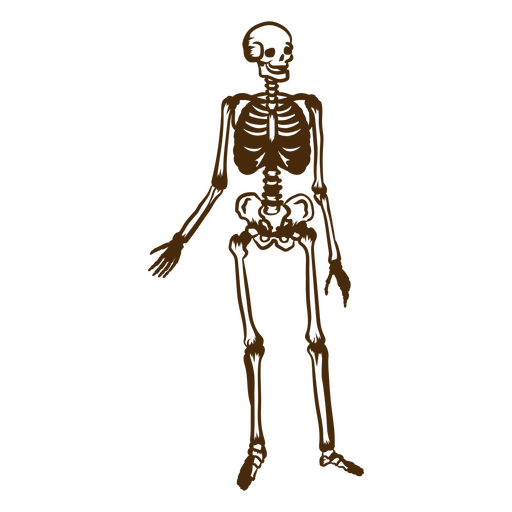 Brown skeleton standing PNG Design