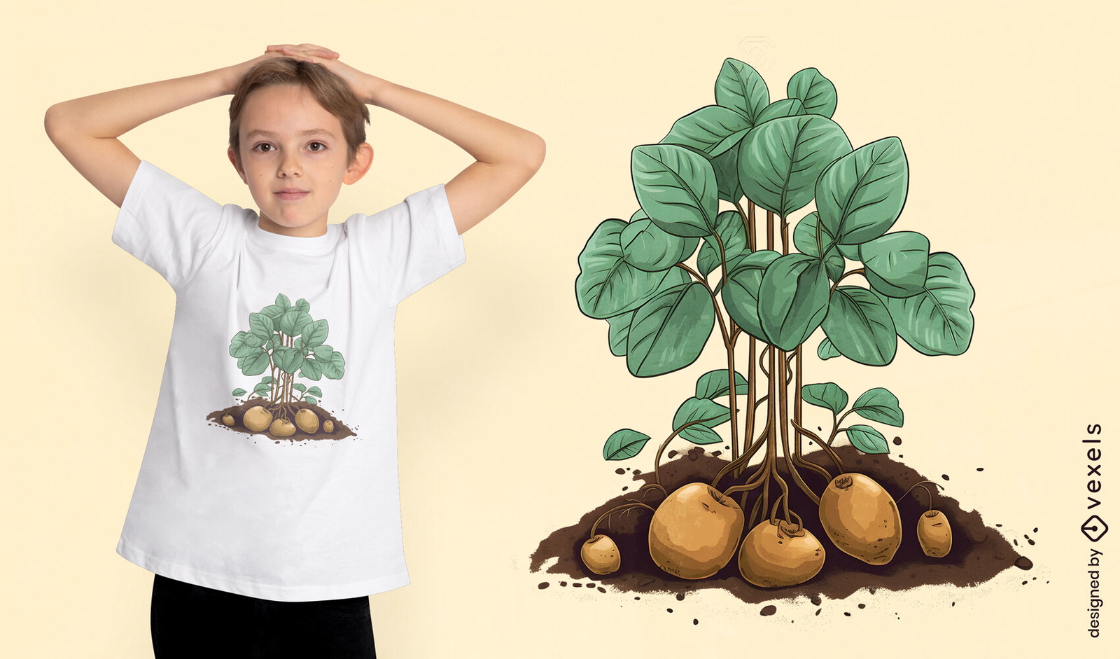 Diseño de camiseta de planta de papa.