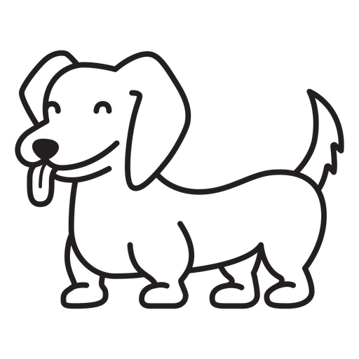 Black and white dachshund is standing PNG Design