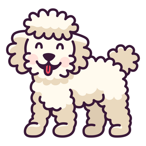 Poodle branco em pé Desenho PNG