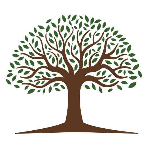 Desenho intrincado de árvore com galhos e folhas detalhados. Desenho PNG