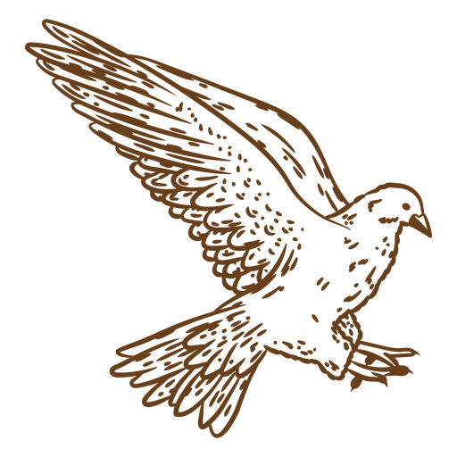 Ilustración detallada de un pájaro de estilo vintage Diseño PNG