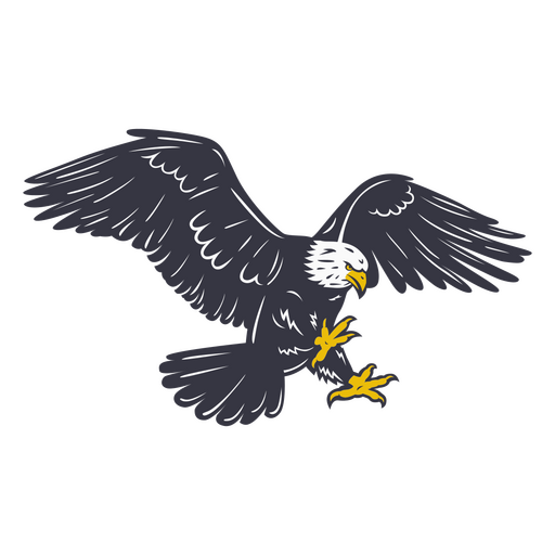Bald eagle flying in the air PNG Design