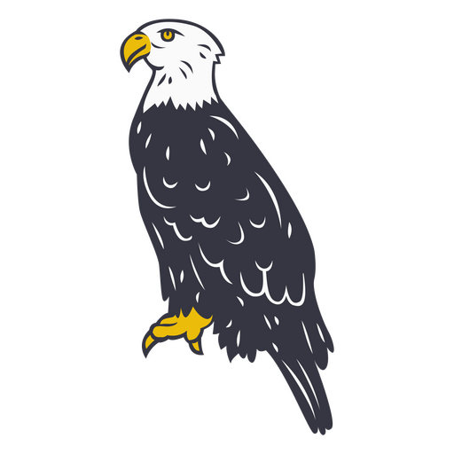 Águila calva sentada Diseño PNG