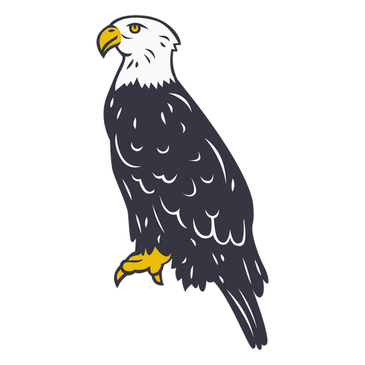 Weißkopfseeadler sitzend PNG-Design