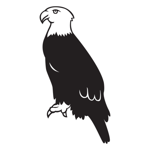 sem conteúdo Desenho PNG