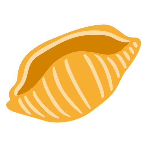 Ilustração estilizada de concha Desenho PNG