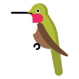 Green Hummingbird Sitting On A Branch PNG & SVG Design For T-Shirts