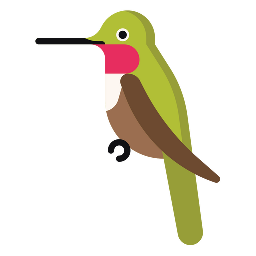 Colibrí verde sentado en una rama Diseño PNG