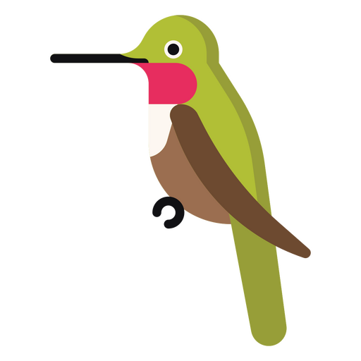 Green hummingbird sitting on a branch PNG Design