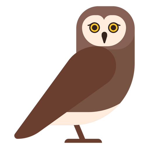 Owl is sitting PNG Design