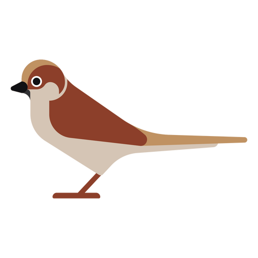 Pájaro marrón y blanco de pie Diseño PNG
