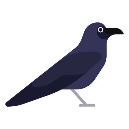 Ilustración de cuervo con estilo Diseño PNG