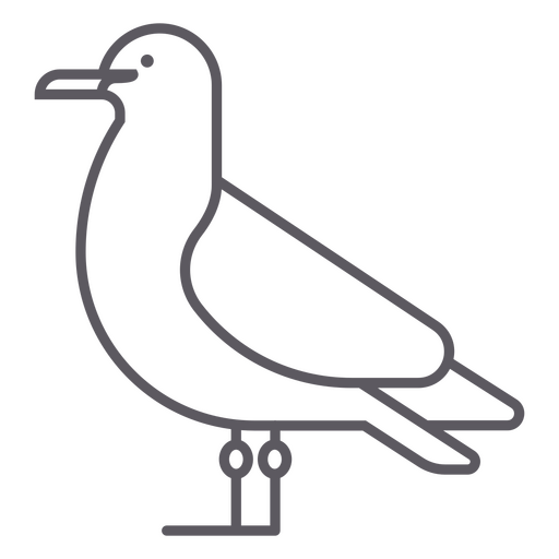 Silhouette of a seagull PNG Design