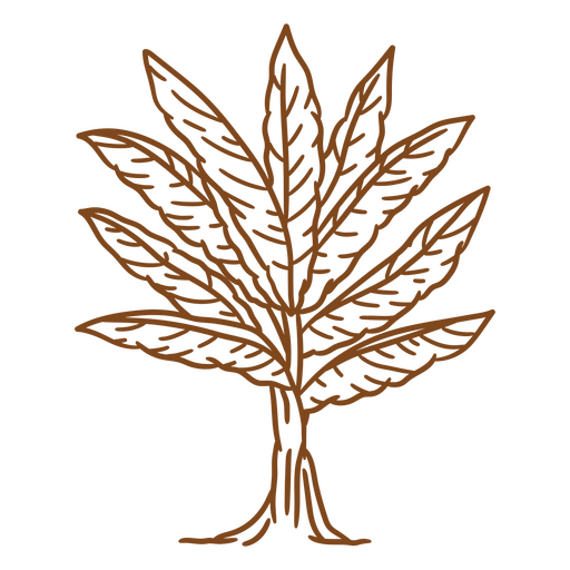 Ilustração complexa de folhas Desenho PNG