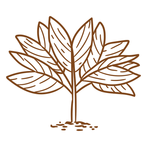 sin contenido Diseño PNG