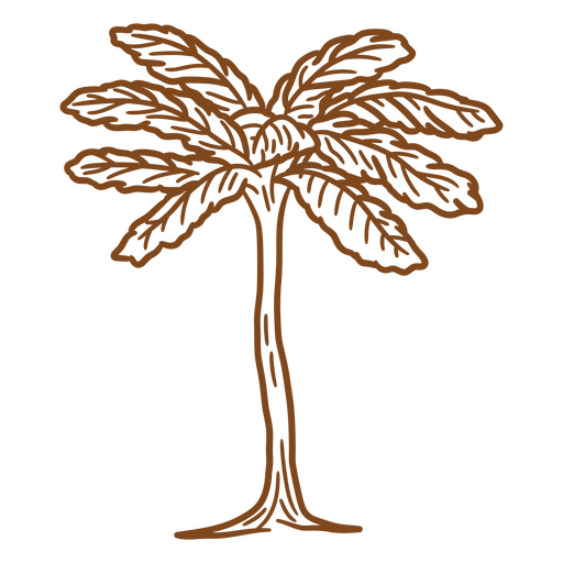 sin contenido Diseño PNG