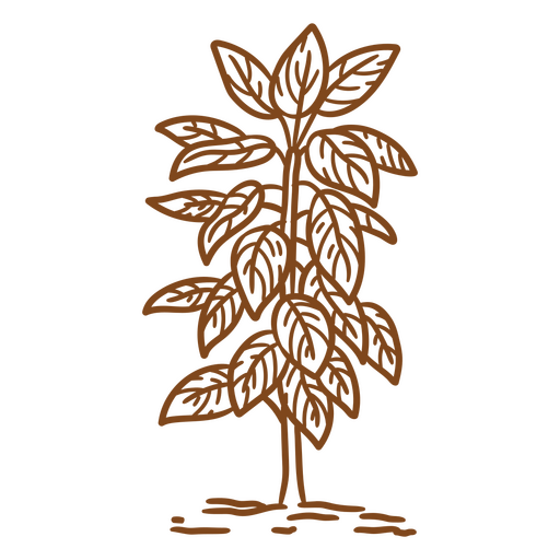 Stylized line art plant illustration PNG Design