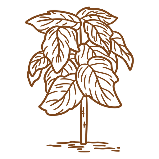 Detailed botanical illustration of a leafy tree design PNG Design