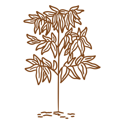 sem conteúdo Desenho PNG