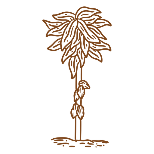 Diseño de camiseta con ilustración de plantas tropicales de arte lineal único. Diseño PNG