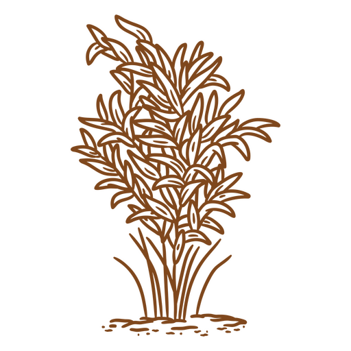 sin contenido Diseño PNG