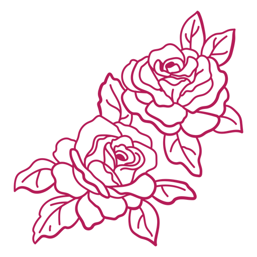 Delicada ilustración floral rosa de dos rosas. Diseño PNG