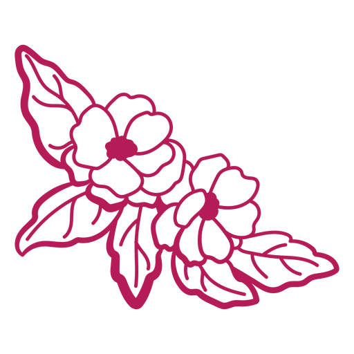 Design de ilustração floral encantador Desenho PNG