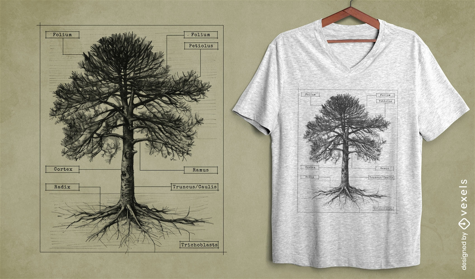 Diseño de camiseta de anatomía de árbol botánico.