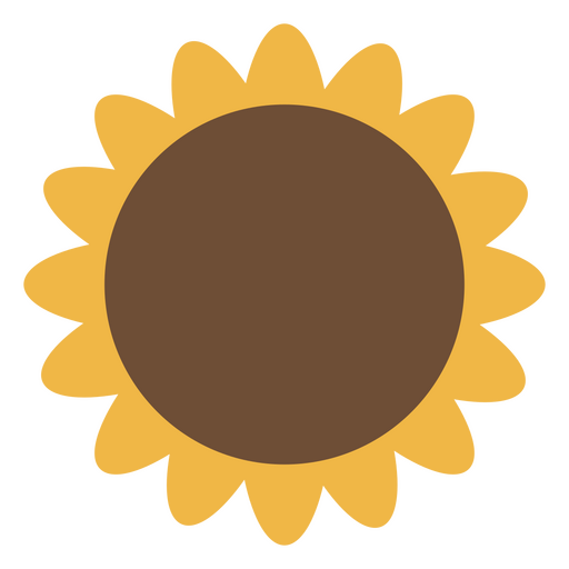 Girasol marrón y amarillo plano. Diseño PNG