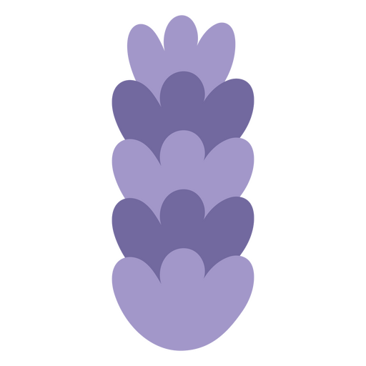 Lila Blüte Lavendel PNG-Design