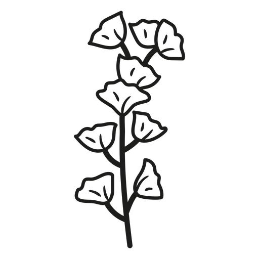 Schwarz-weißer Blumenstrich PNG-Design