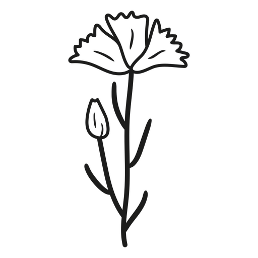 Flor romántica en blanco y negro. Diseño PNG