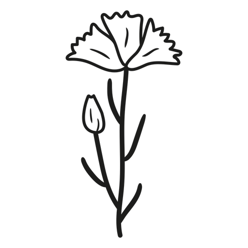 Romantische schwarz-weiße Blume PNG-Design