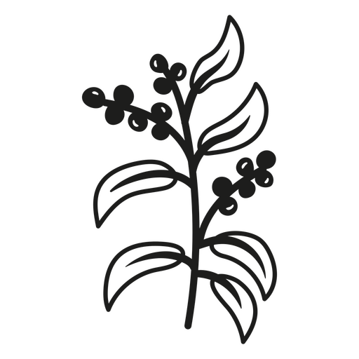 Ilustração botânica elegante com folhas e frutos Desenho PNG
