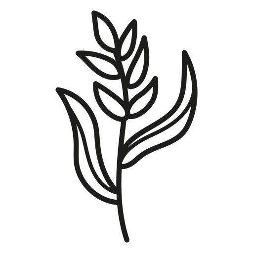 Stylized leafy plant outline design PNG Design