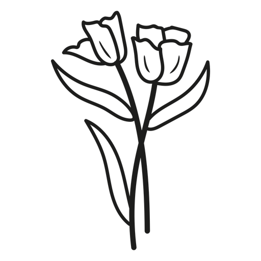 Black tulip bouquet PNG Design