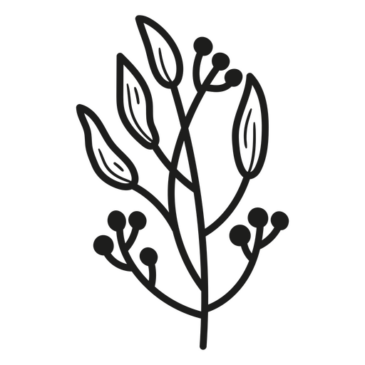 Curso de ramo floral Desenho PNG