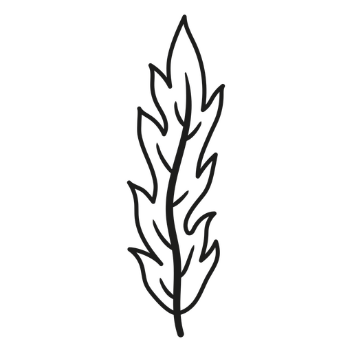 Ilustração elegante de folha desenhada à mão Desenho PNG