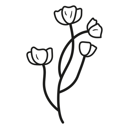 Diseño floral con cuatro flores. Diseño PNG