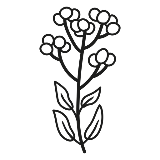 Minimalistic flower illustration design PNG Design