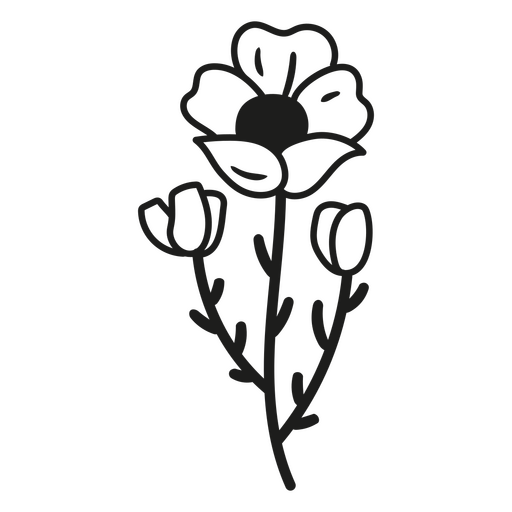 Ilustração floral minimalista com contornos ousados Desenho PNG