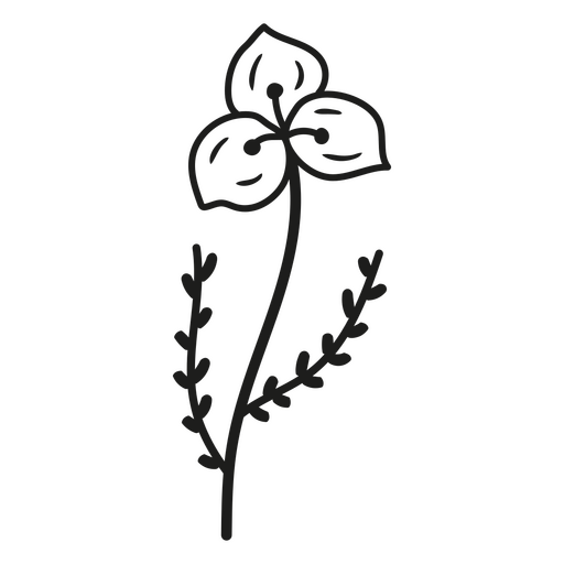 Design floral com uma única folha Desenho PNG